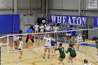 Volleyball vs Babson  Wheaton Women's Volleyball vs Babson College. - Photo by Keith Nordstrom : Wheaton, Volleyball, VB